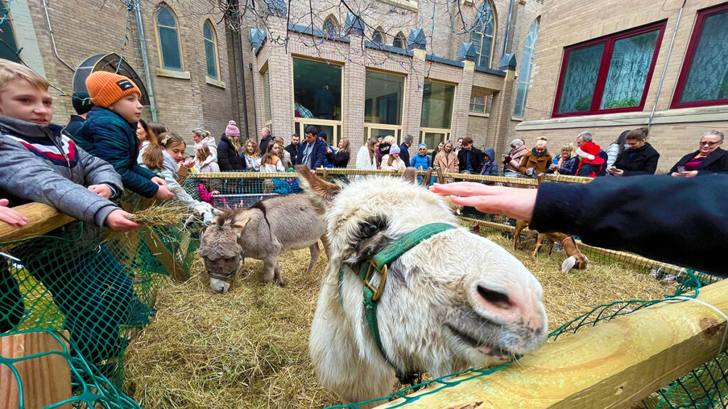 Zywa szopka na greenpoincie kat