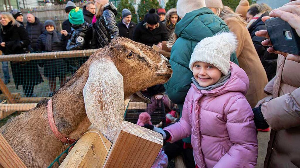 Zywa szopka w kosciele sw stanislawa kostki na greenpoincie kat