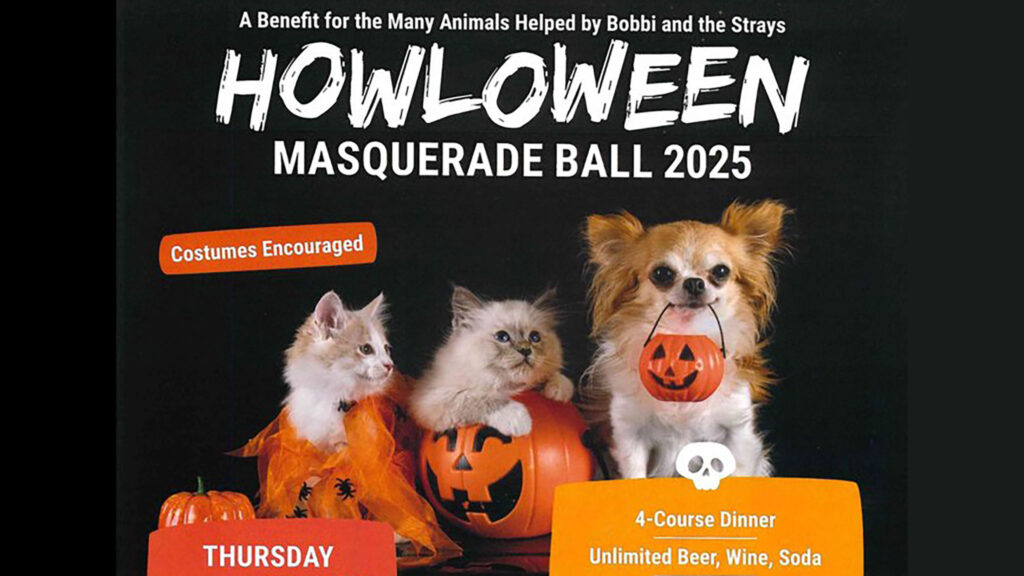 Howloween masquerade ball in new york at russo on the bay on thursday october 23 kat