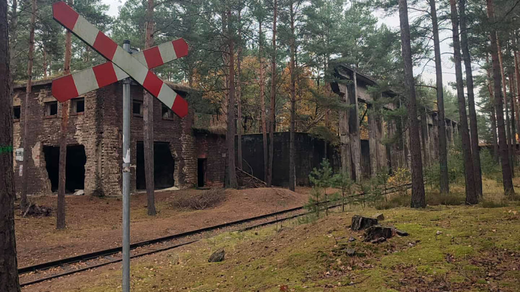 Kombinat krzystkowice dziennik polonijny ny