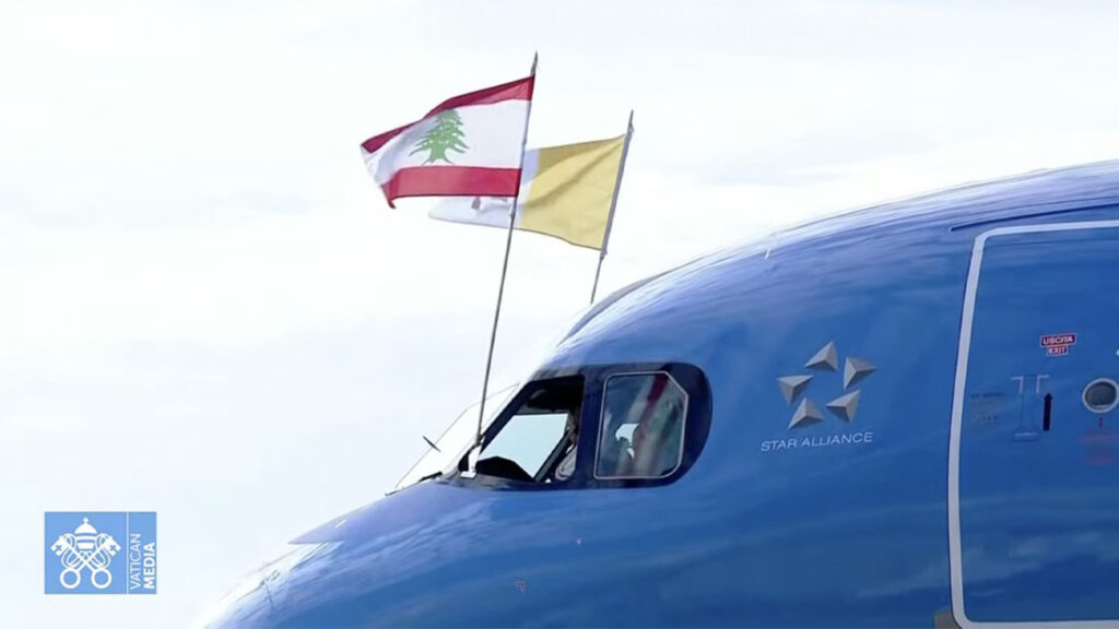 Leb plane body