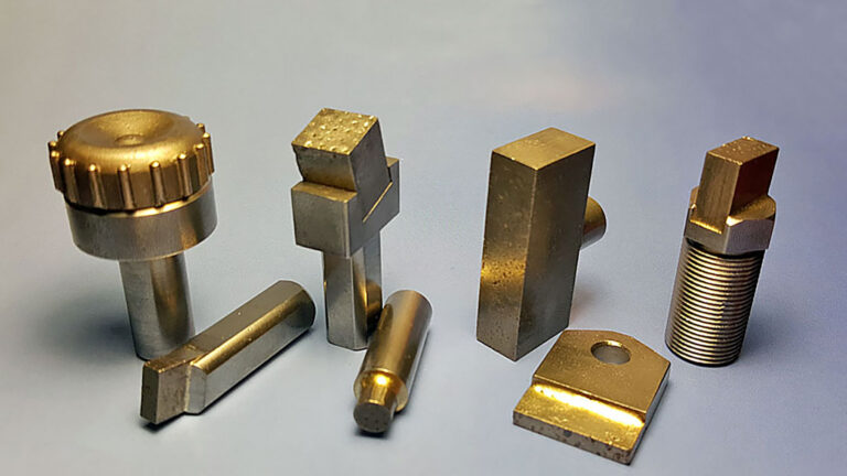 Bison head