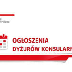 Consulate general head