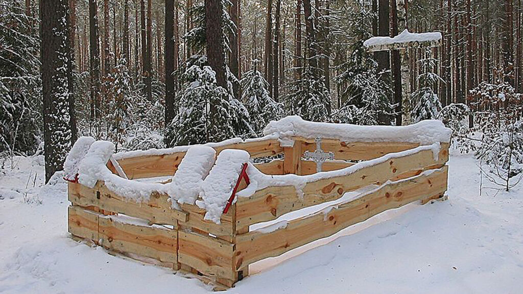 History winter ewa head