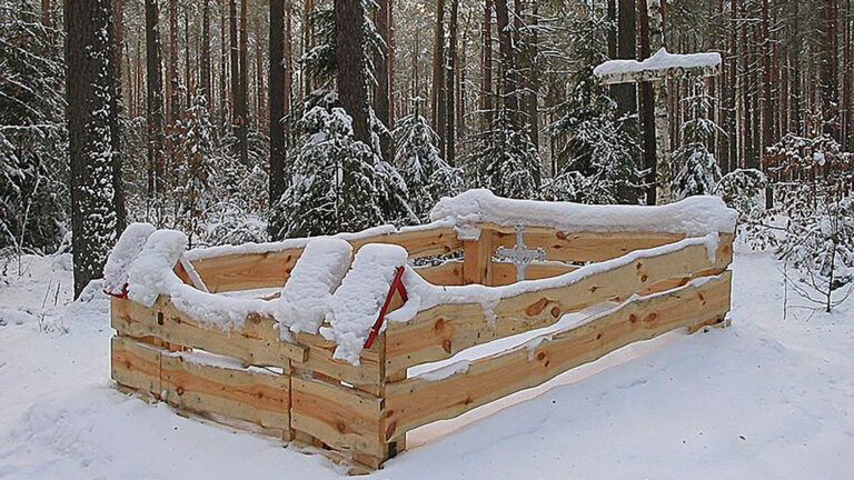 History winter ewa head