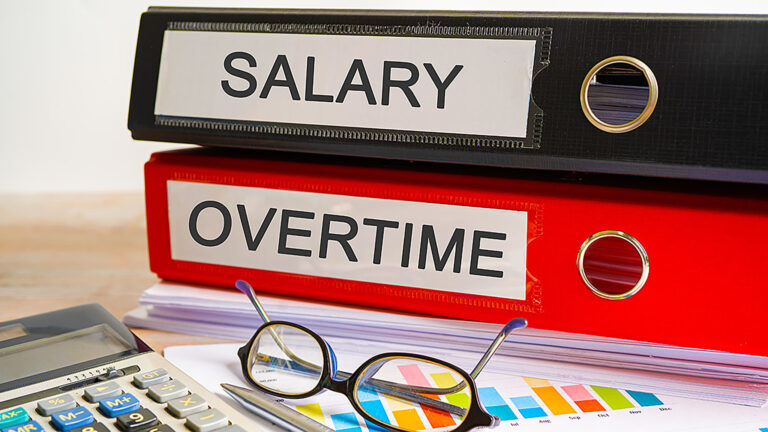 Robert wis head