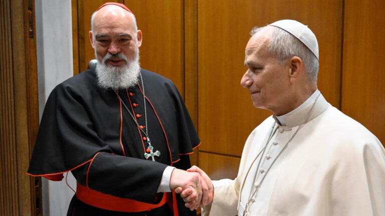 Leon XIV i kard tehran