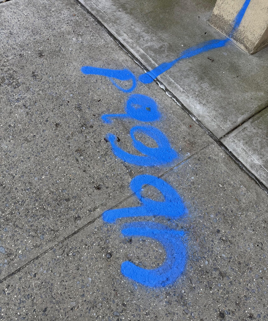 Vandalism site body