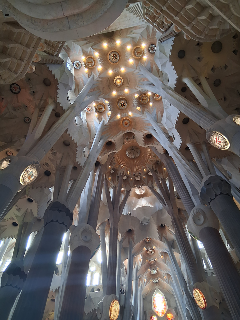 Arch body columns