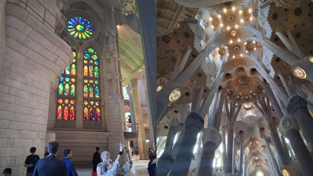 Architecture barca head