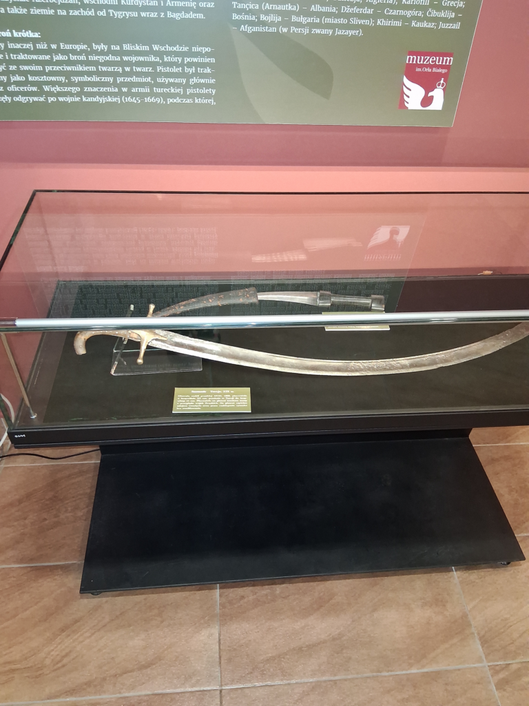 Polish turkish war ewa body