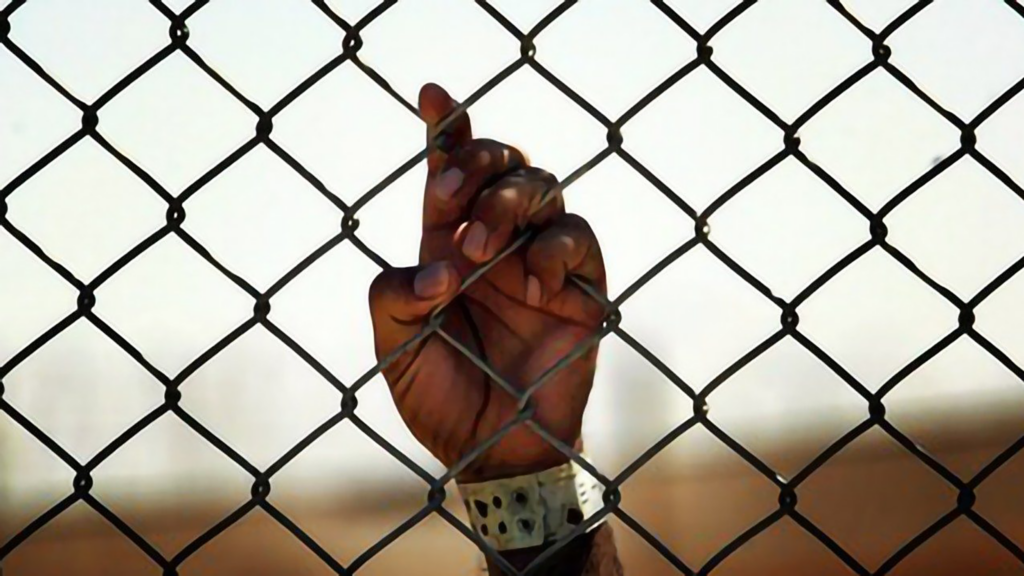 Trafficking vatican article head