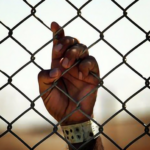 Trafficking vatican article head