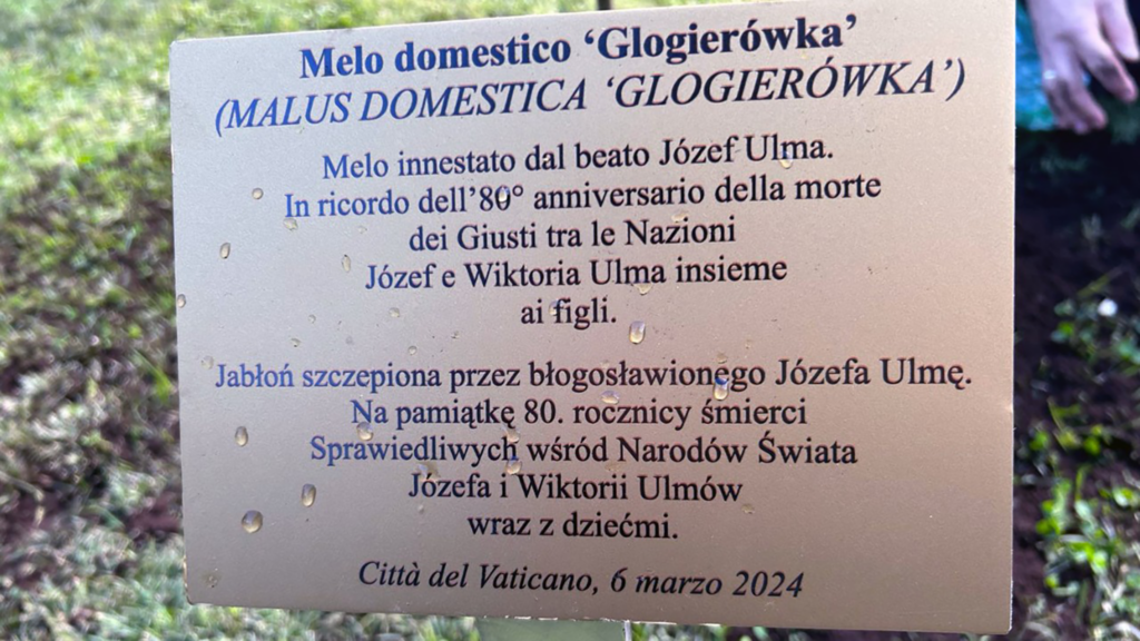 Polonia rome history