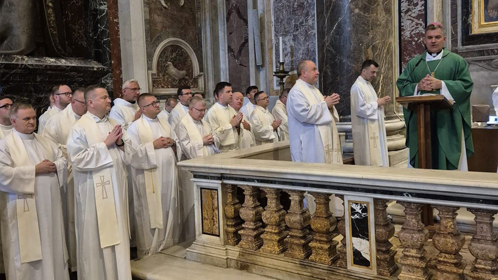 Ziel pilgrim vatican head