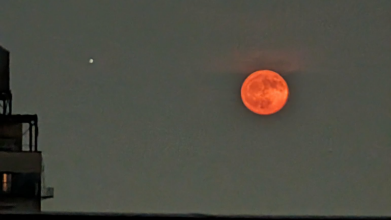 Lunar eclipse head