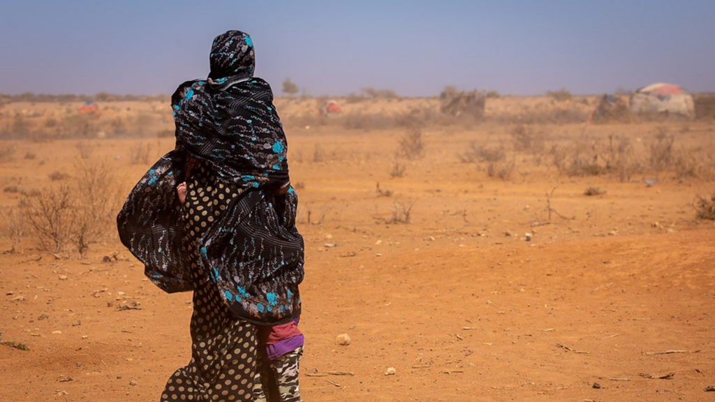 Wars and poverty food insecurity vatican head