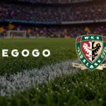 ŚLĄSK WROCŁAW x MEGOGO head
