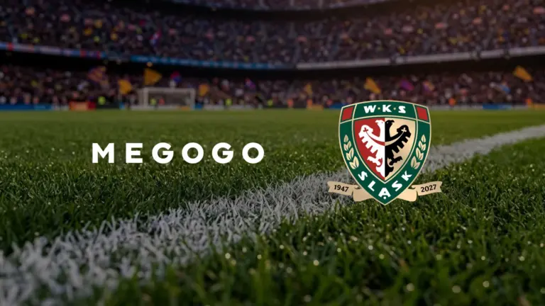ŚLĄSK WROCŁAW x MEGOGO head