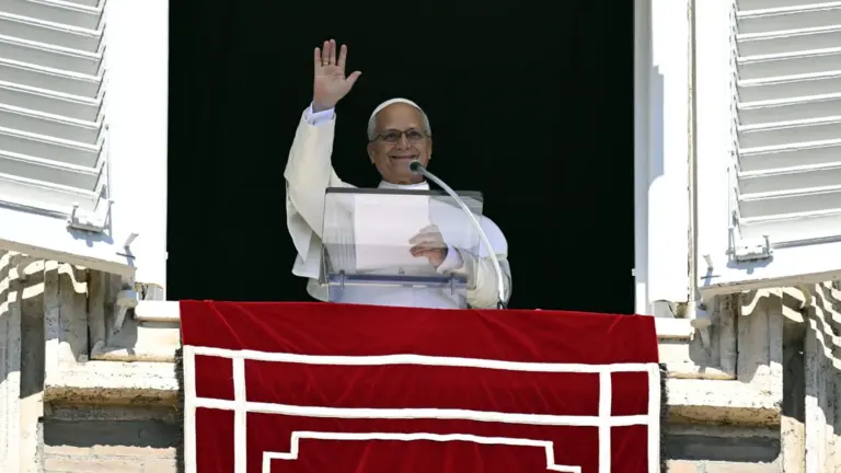 Pope leo in the west
