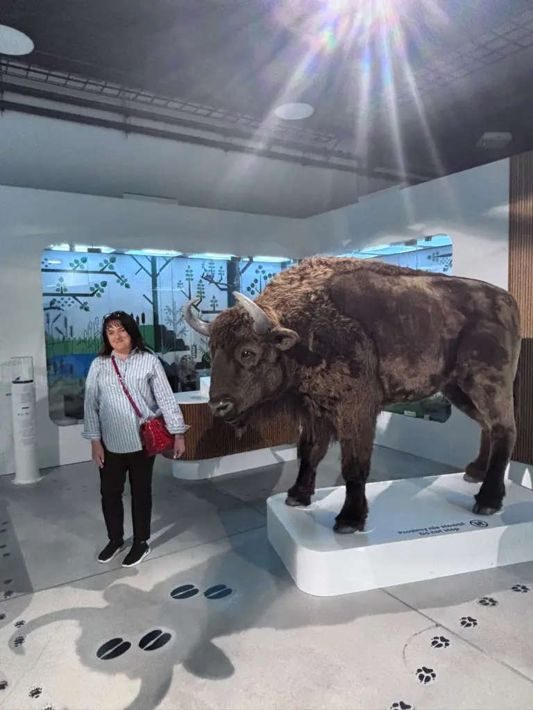 Science exhibit