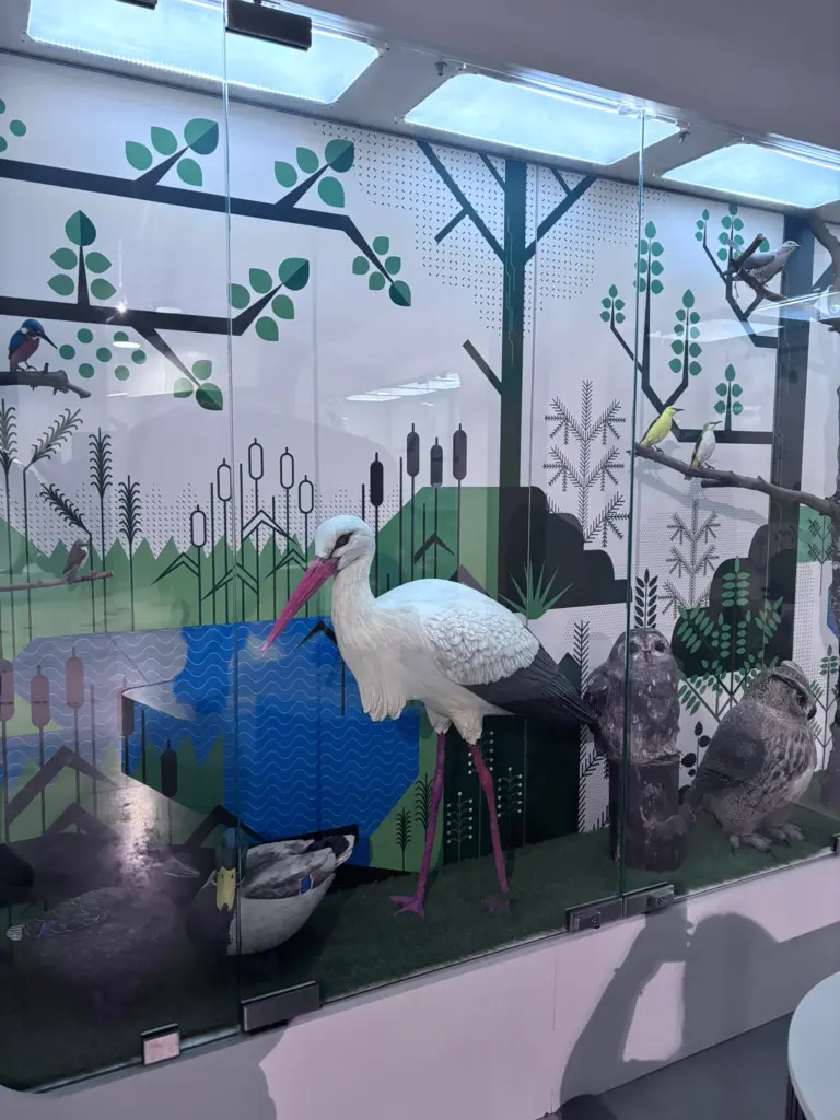 Science exhibit
