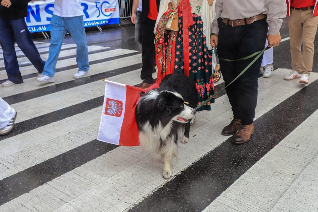 89. Parada Pułaskiego w Nowym Jorku – parafie, szkoły i Greenpoint
