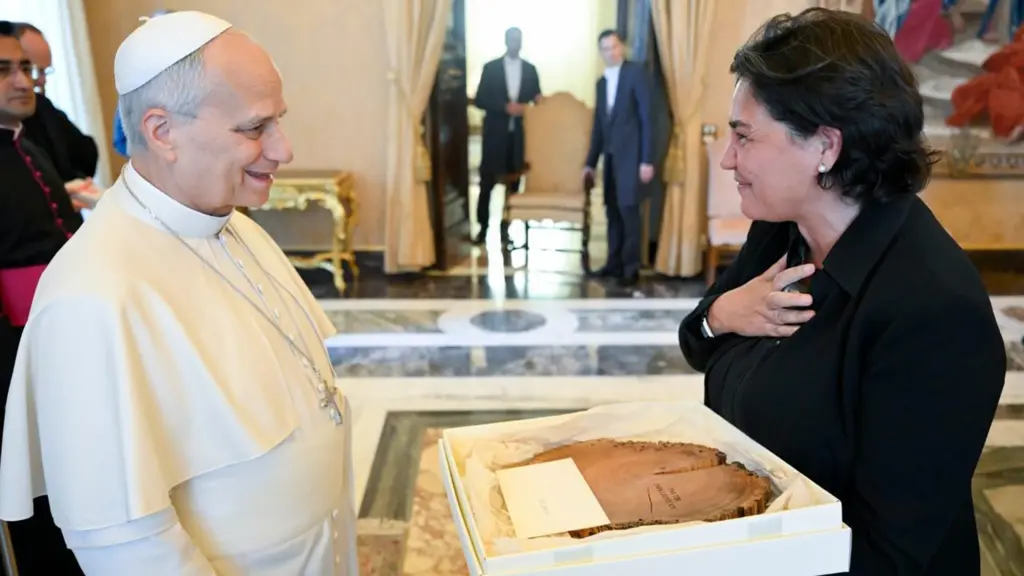 Pope on art as a form